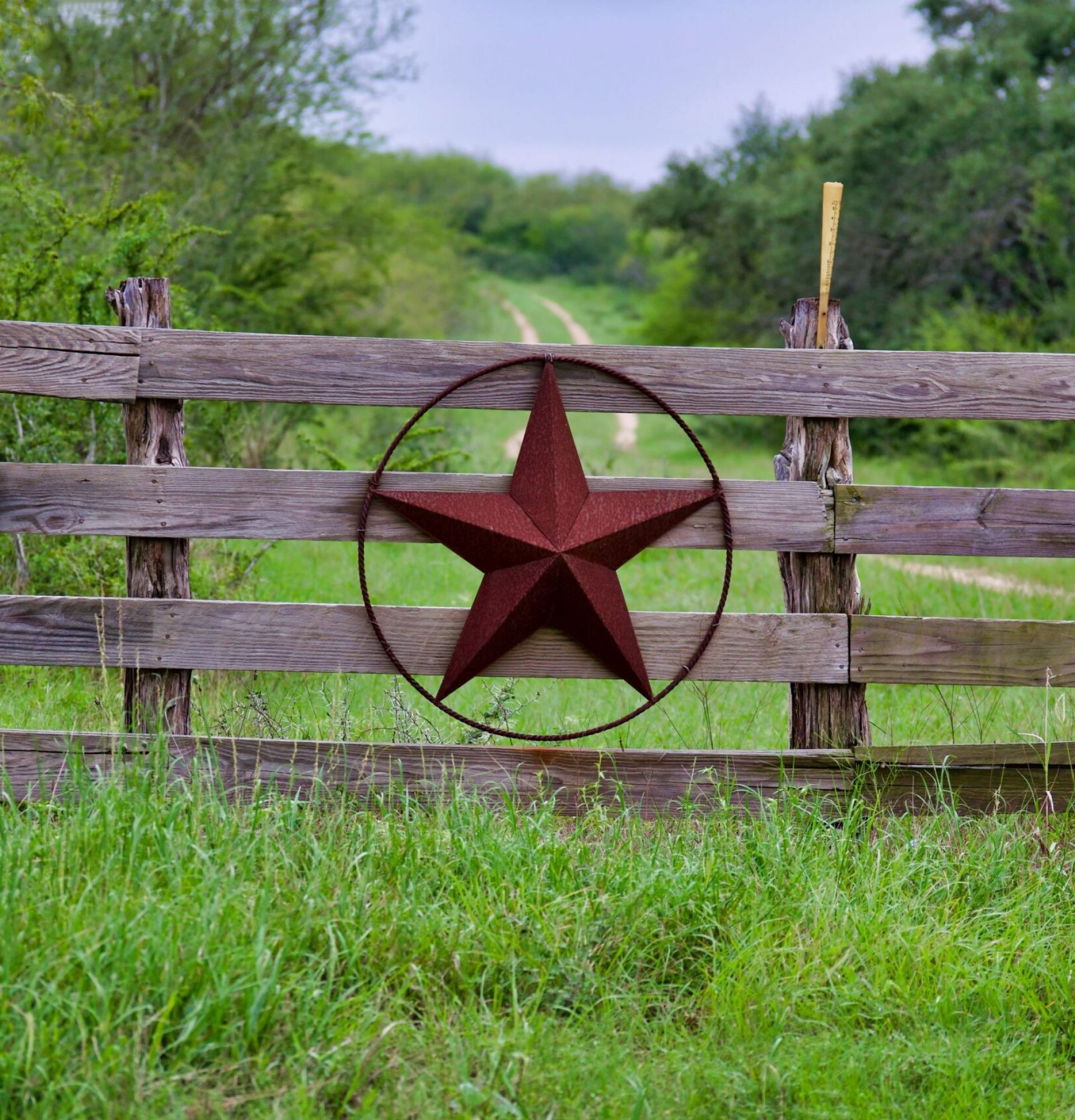 A wooden fence with a red star at its center marks the entrance to Elm Hollow Apartments, surrounded by lush greenery and a path that meanders into the distance.